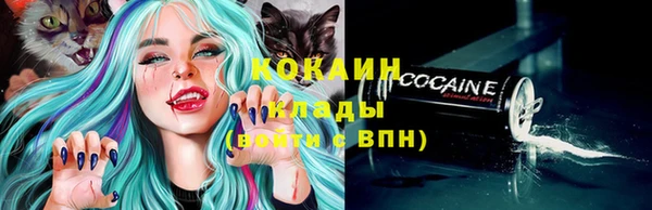 бошки Кизел