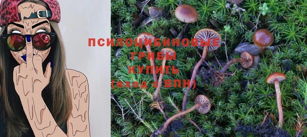 ГАЛЛЮЦИНОГЕННЫЕ ГРИБЫ Горно-Алтайск