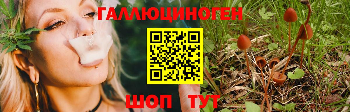 Псилоцибиновые грибы прущие грибы  Вход с VPN  Дятьково 